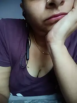Hansikatelugu webcam