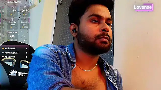 SilverShade3 webcam