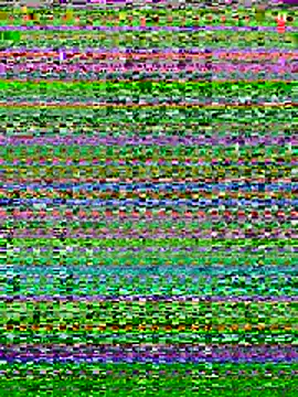 Wassimdz410 webcam