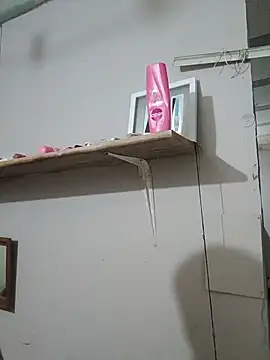 Shagui_y_bulma webcam