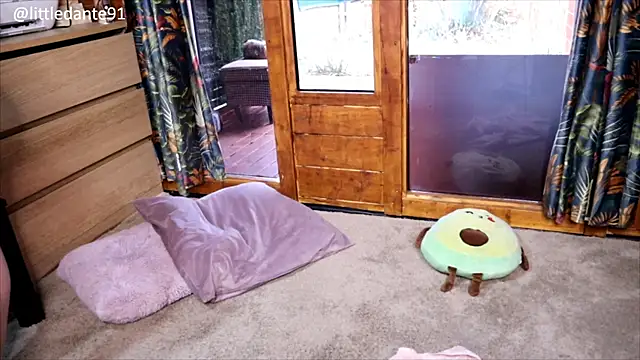 LittleMe97 webcam