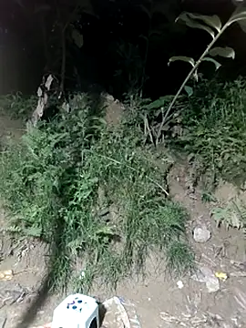 WeaklyMop webcam