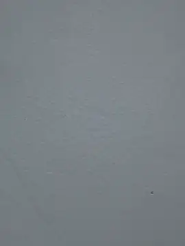 DAKOTA_SAKURA webcam