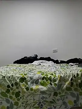 TuCanero23cm webcam