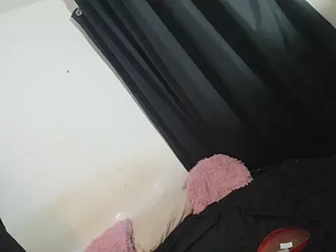 Smoors19 webcam