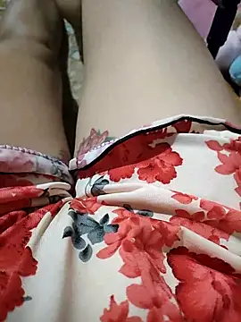 -Tara-a webcam