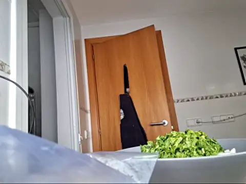 LEIRIS_Y_FRED_01 webcam