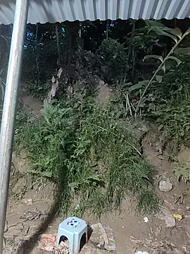 WeaklyMop webcam