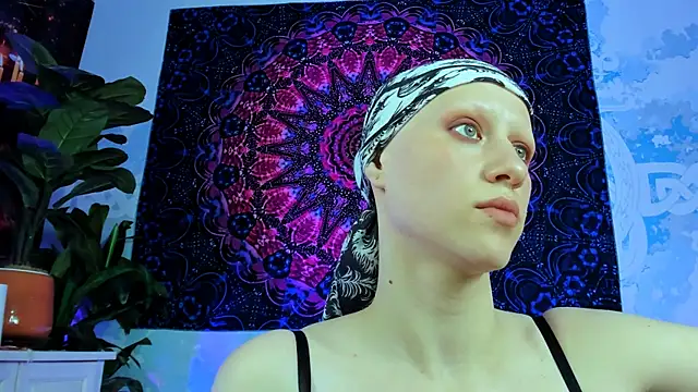 LidaDarknet webcam