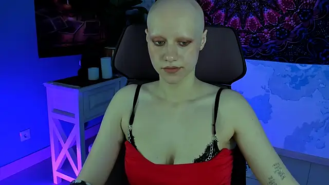 LidaDarknet webcam