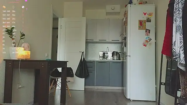 Sereta_Finn webcam