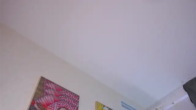 LiliBanger webcam
