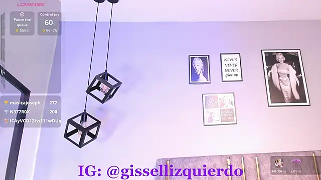 Liincostelloo webcam