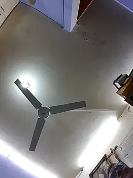 Parehahotmex webcam