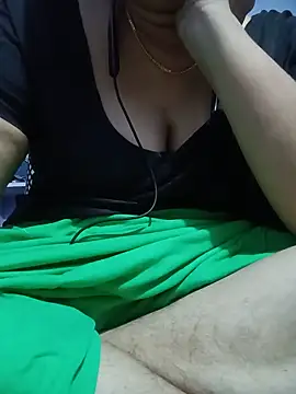 Hansikatelugu webcam
