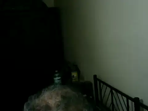 100Tauros webcam