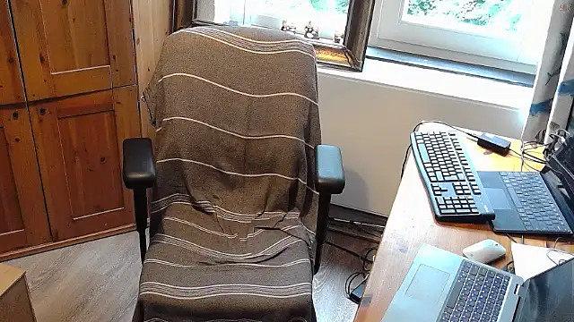 RolfS_bi webcam
