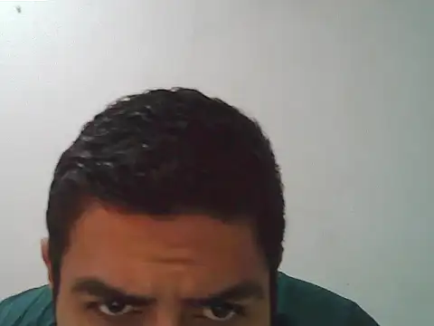 verg01 webcam