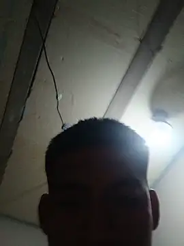 Shagui_y_bulma webcam
