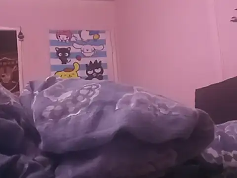 Blkstylion webcam