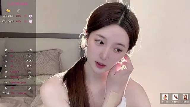 UU-1314 webcam