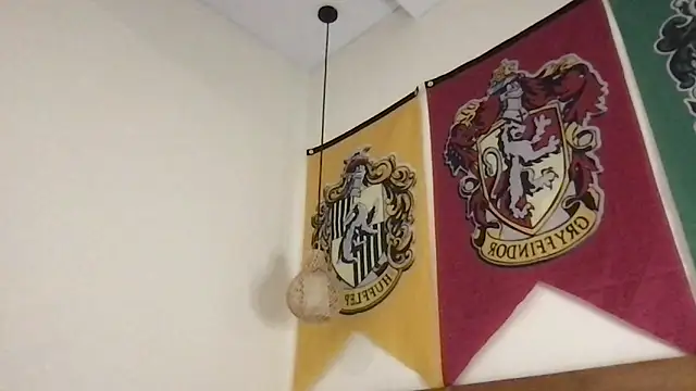 teddy_alan webcam