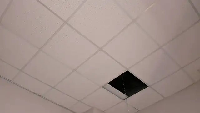 EricaElliott webcam