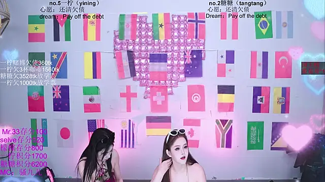 CCTW-100 webcam