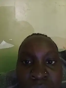 piecum01 webcam