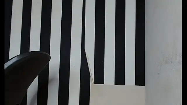Coco_germ webcam