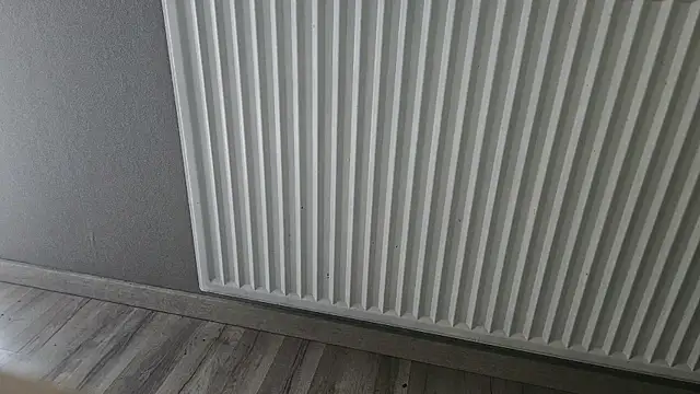 drm4ple3 webcam