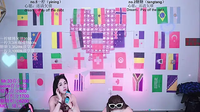 CCTW-100 webcam