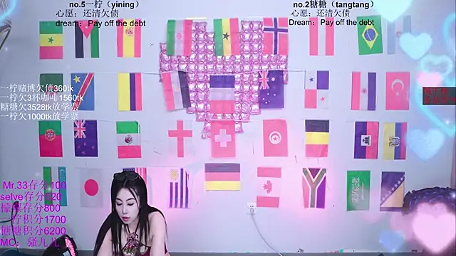 CCTW-100 webcam