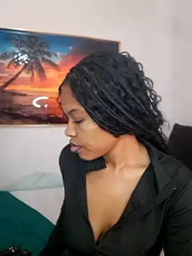 SATHIVA webcam