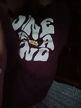 Hansikatelugu webcam