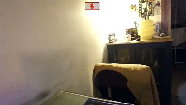 Hgay6935 webcam