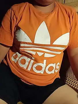 Ip34 webcam