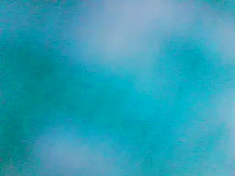 DesireMelissa webcam