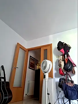 LEIRIS_Y_FRED_01 webcam