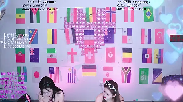 CCTW-100 webcam