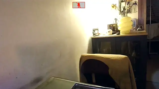 Hgay6935 webcam