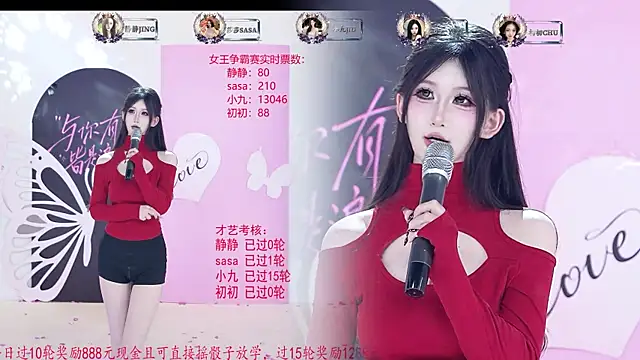 TY-002 webcam