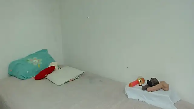 Agatha_browser webcam