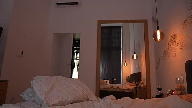 ibiddi webcam