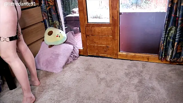 LittleMe97 webcam