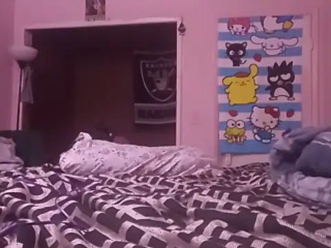 Blkstylion webcam
