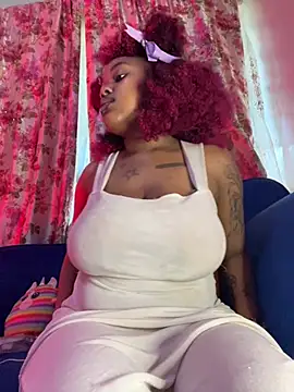 _Thirteen webcam