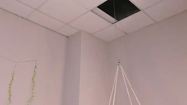 EricaElliott webcam