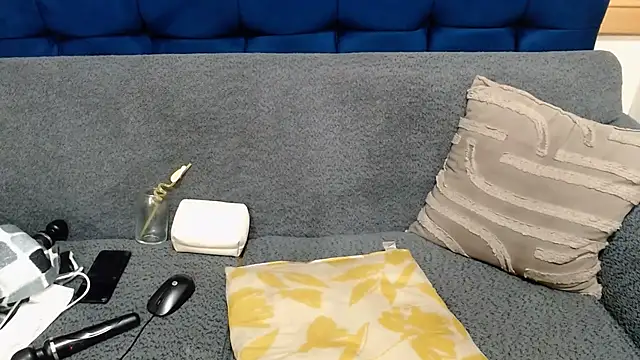 AriesCake webcam