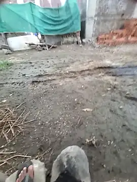 rakkakakakakakakakaak webcam